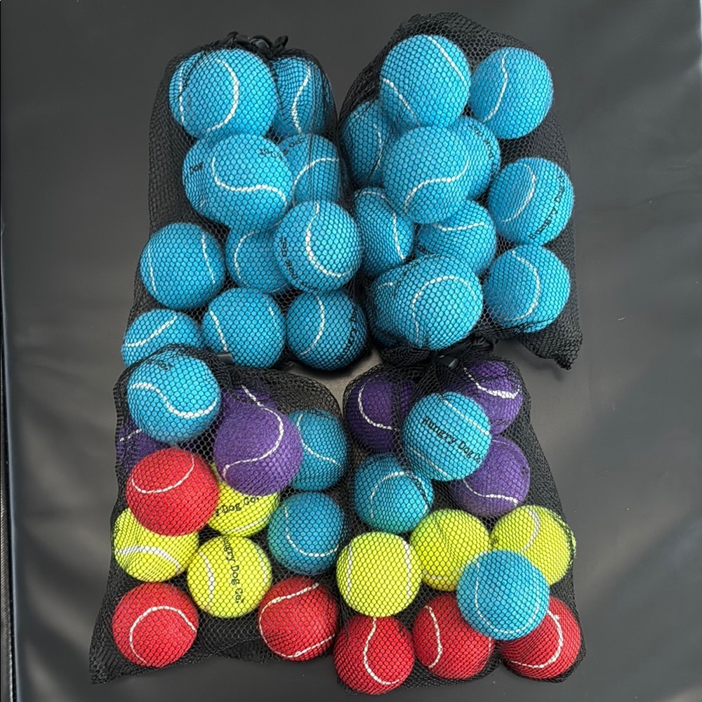 Colorful Tennis Balls Set of 48